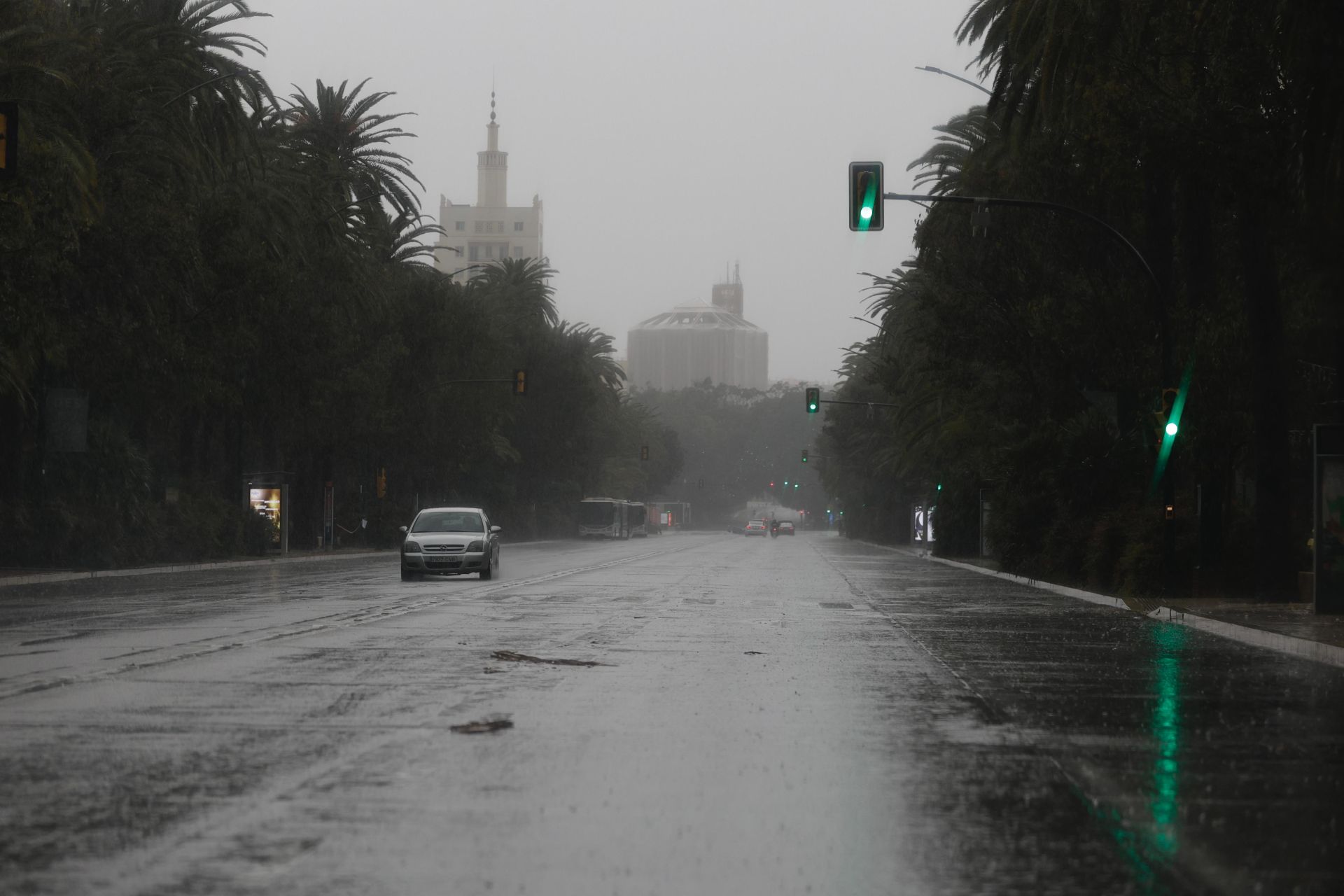 El Paseo del Parque de Málaga, este miécoles