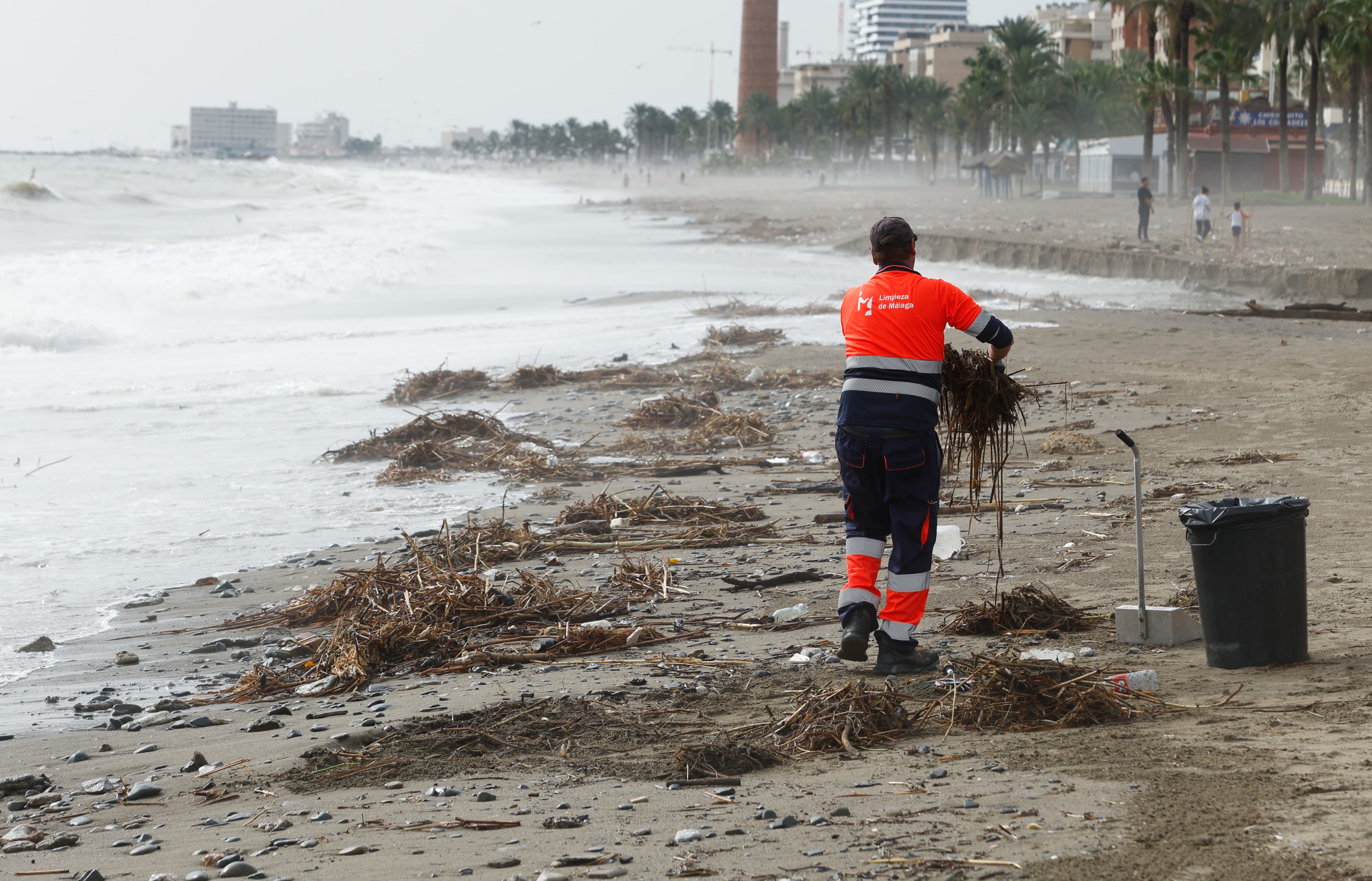 Limpieza en la playa del paseo marítimo Antonio Banderas.