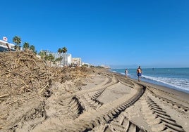 Bañistas junto a una montaña de cañas, en la playa de La Carihuela.