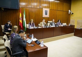 El consejero de Presidencia, en el centro, durante su comparecencia en la comisión parlamentaria.