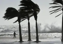 Aemet alerta de la borrasca Bert y sus vientos huracanados: así afectará a Andalucía