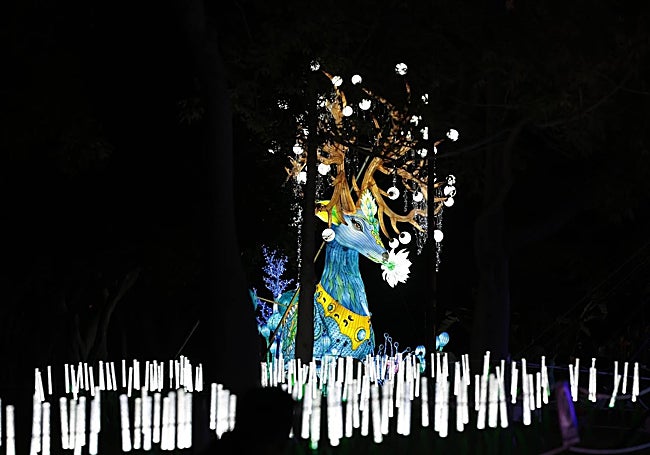 Una de las linternas que hay durante el recorrido.