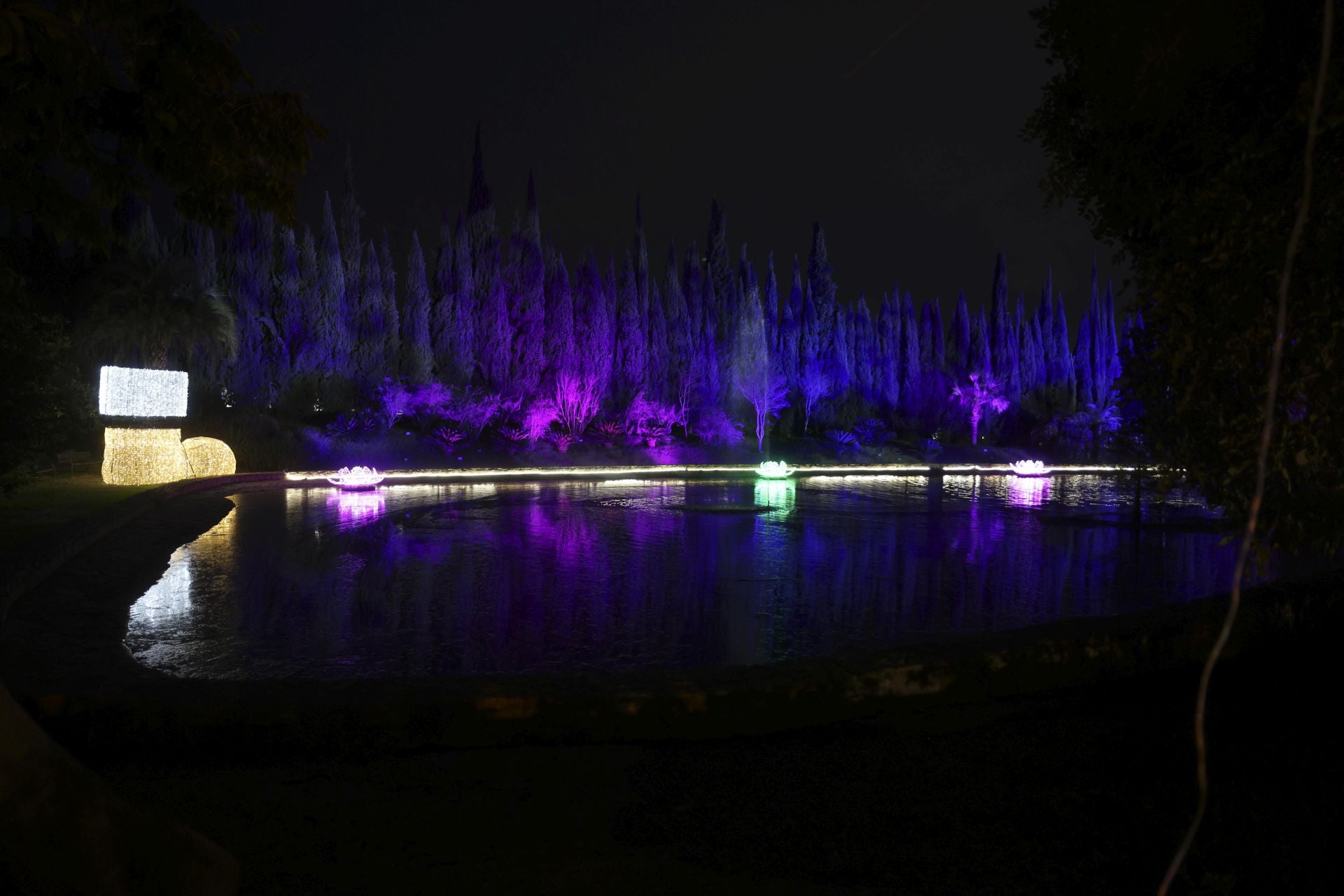 &#039;Ilusión&#039;, el espectáculo navideño de La Concepción, en imágenes