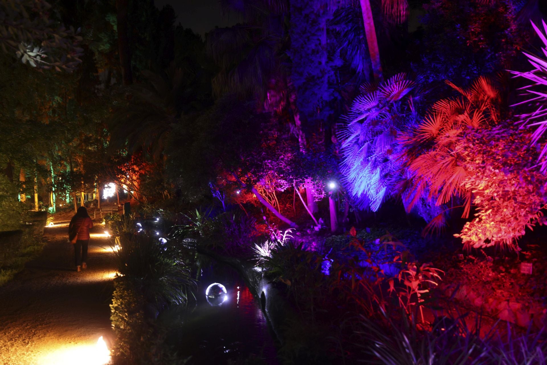 &#039;Ilusión&#039;, el espectáculo navideño de La Concepción, en imágenes