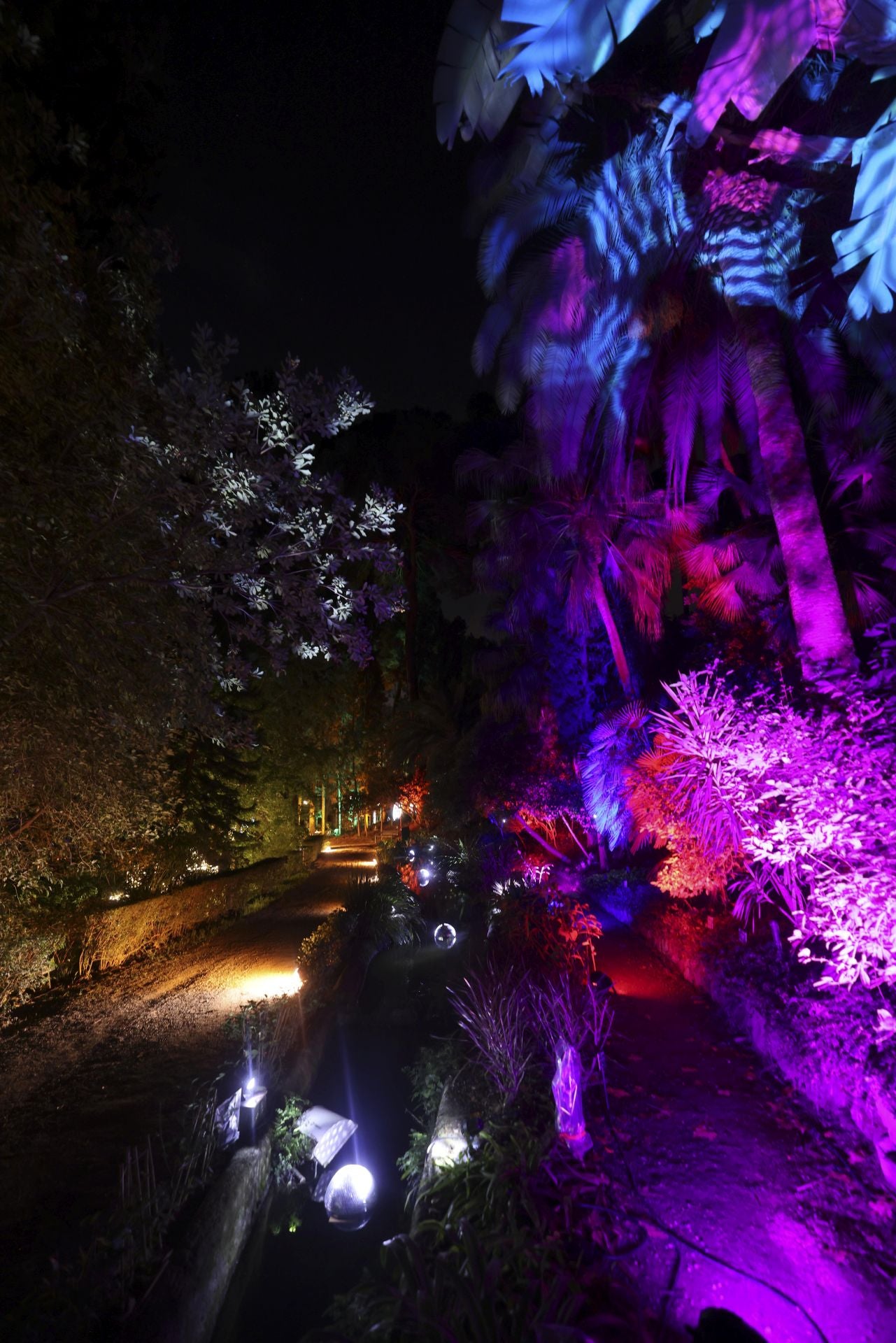 &#039;Ilusión&#039;, el espectáculo navideño de La Concepción, en imágenes