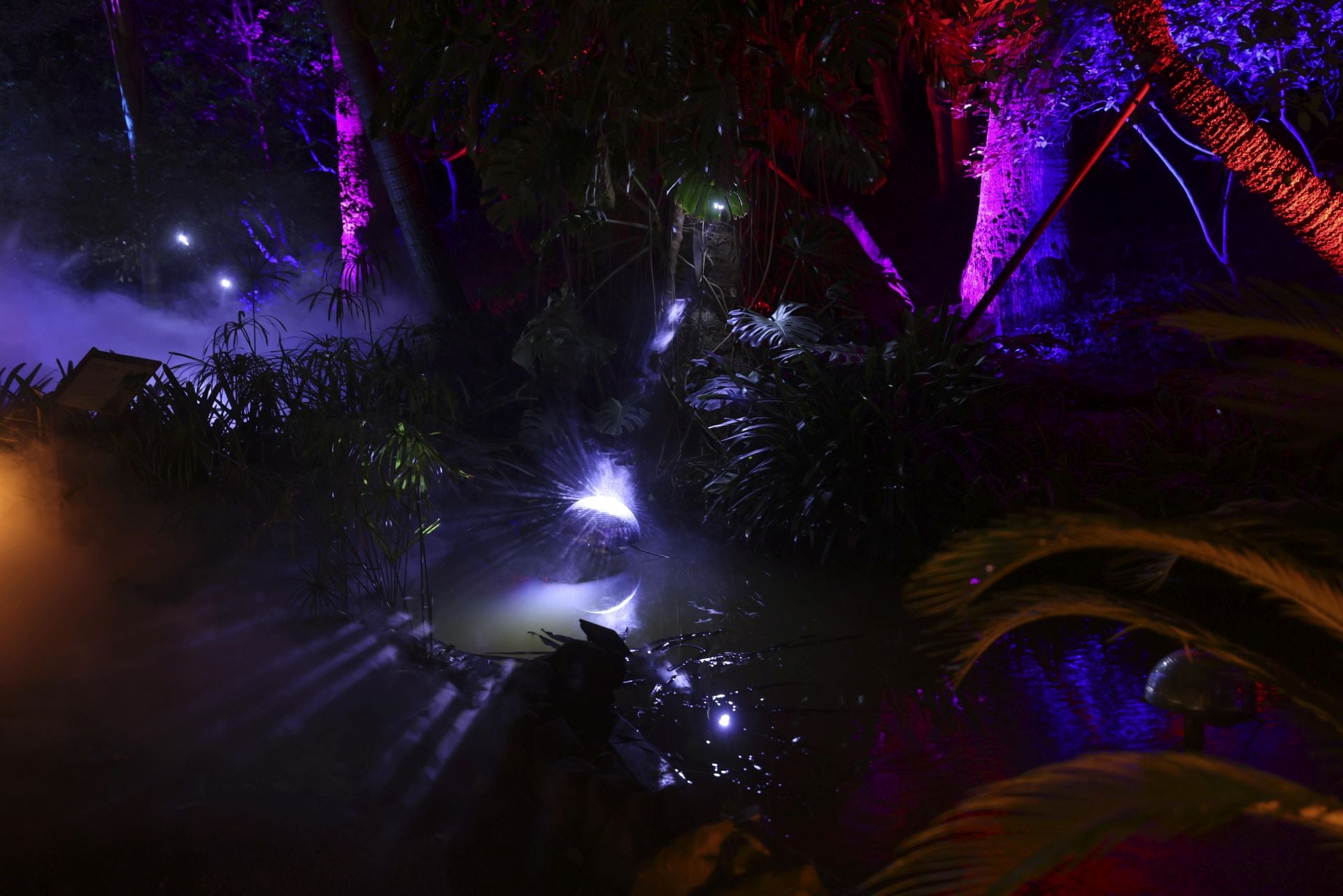 &#039;Ilusión&#039;, el espectáculo navideño de La Concepción, en imágenes