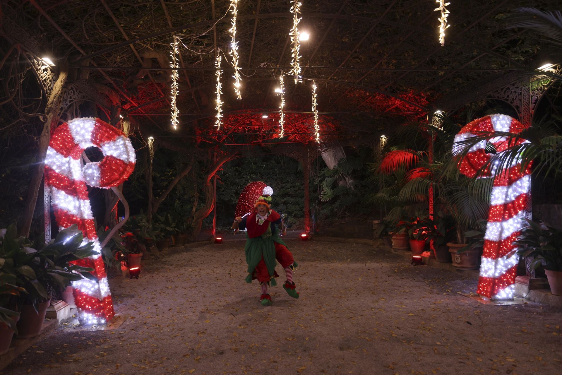 &#039;Ilusión&#039;, el espectáculo navideño de La Concepción, en imágenes