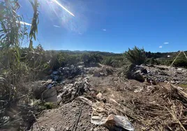 Imagen de los daños ocasionados en una finca de la Axarquía tras la última DANA.