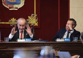 De la Torre, durante el debate en el pleno de Málaga.