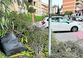 Vista de la acumulación de desperdicios en la calle Luis Taboada.