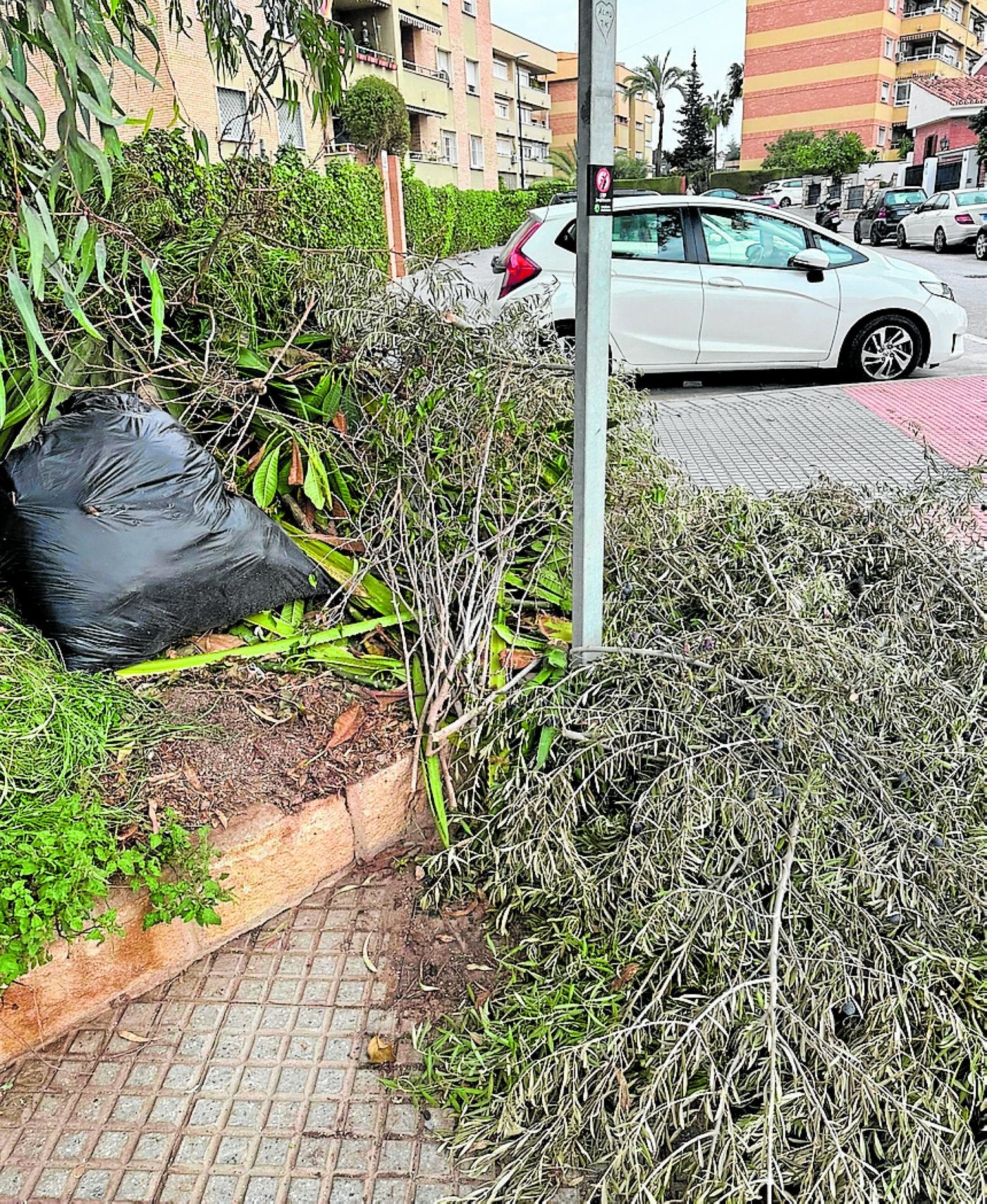 Vista de la acumulación de desperdicios en la calle Luis Taboada.