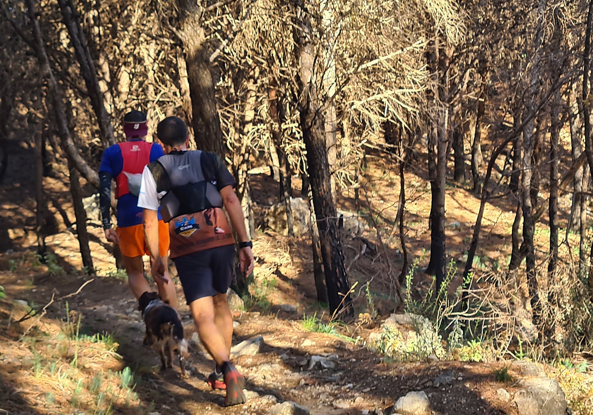 Senderistas por la sierra de Mijas.