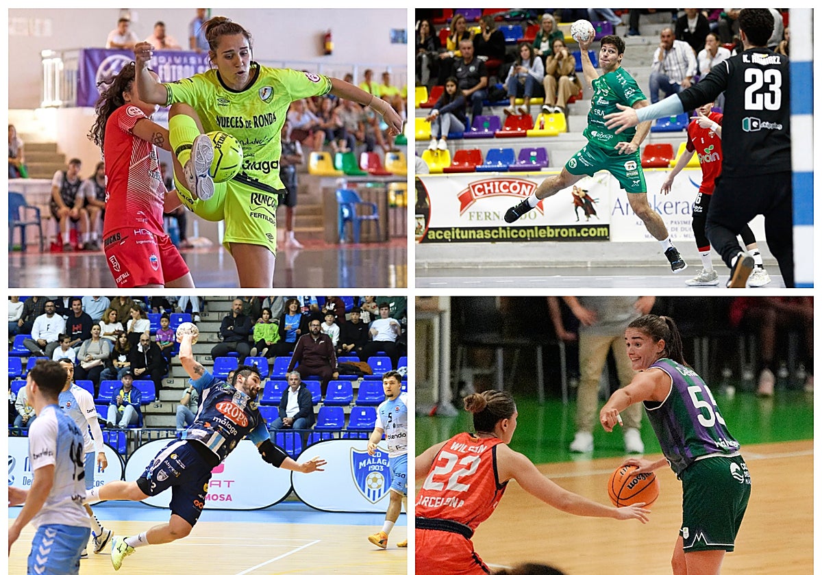 Polideportivo: Jornada de intensa actividad en los pabellones de Málaga