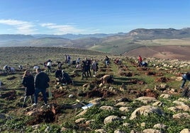 Varias personas plantan los nuevos árboles del bosque biodiverso.