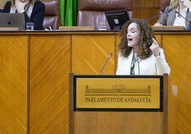 La portavoz de Adelante Andalucía, Inmaculada Nieto.