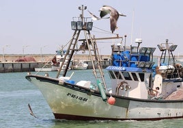 Un barco regresa a puerto tras su actividad pesquera.