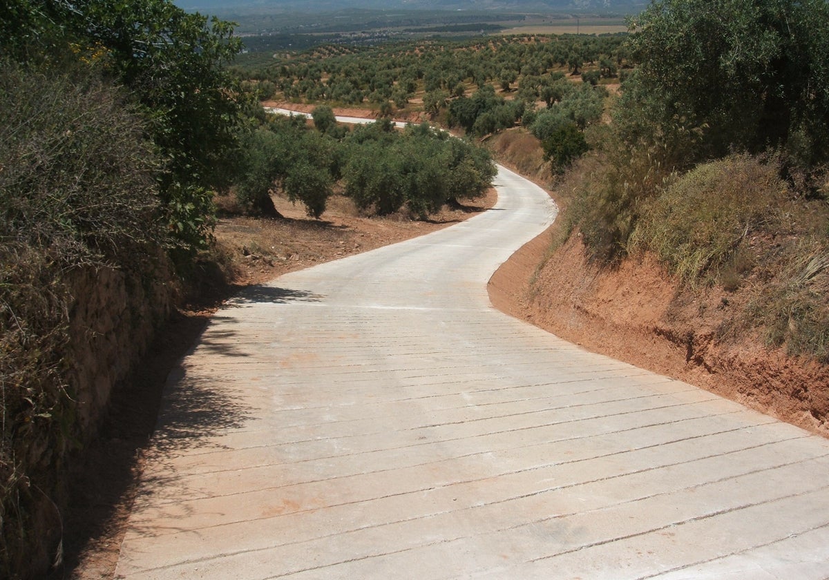 Imagen de uno de los caminos rurales en los que se ha actuado en la comunidad andaluza.