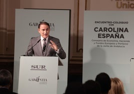 Javier González de Lara, en el foro organizado por Diario SUR.