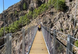 Imagen del sendero del Saltillo en Canillas de Aceituno, con el puente colgante.