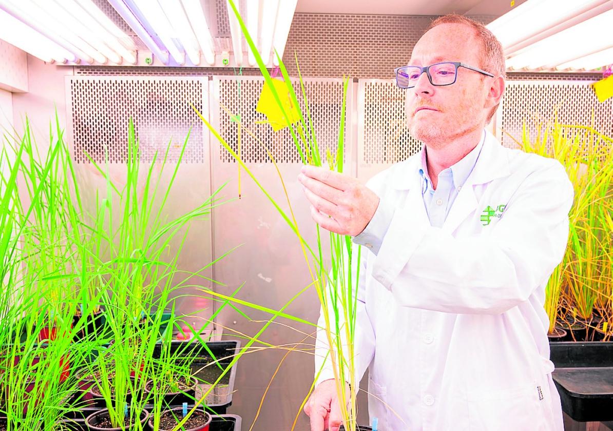 Luis Rubio, investigador del INIA-CSIC, en el Centro de Biotecnología y Genómica de Plantas, lidera este ambicioso proyecto internacional.