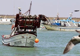 Barcos de pesca en el litoral andaluz.