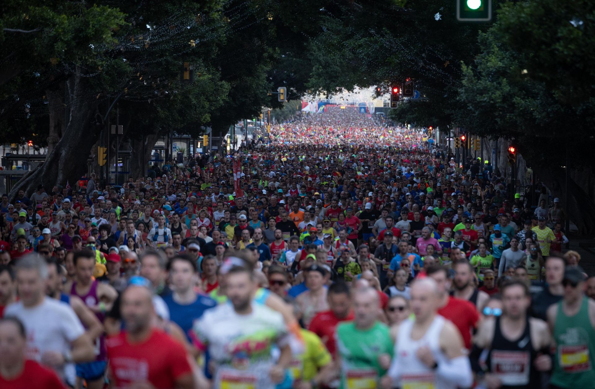 Las mejores imágenes del Generali Maratón de Málaga 2024