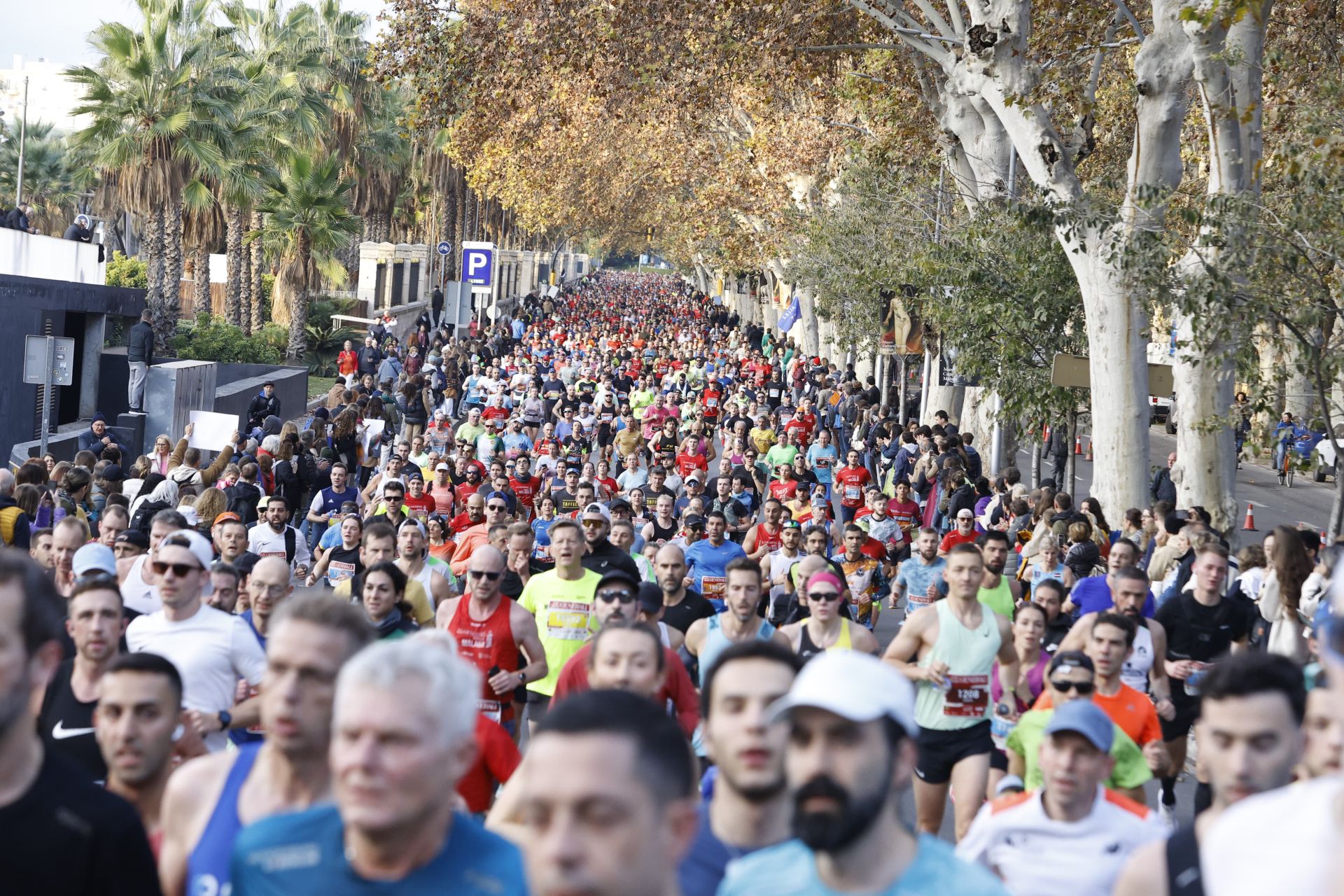 Las mejores imágenes del Generali Maratón de Málaga 2024