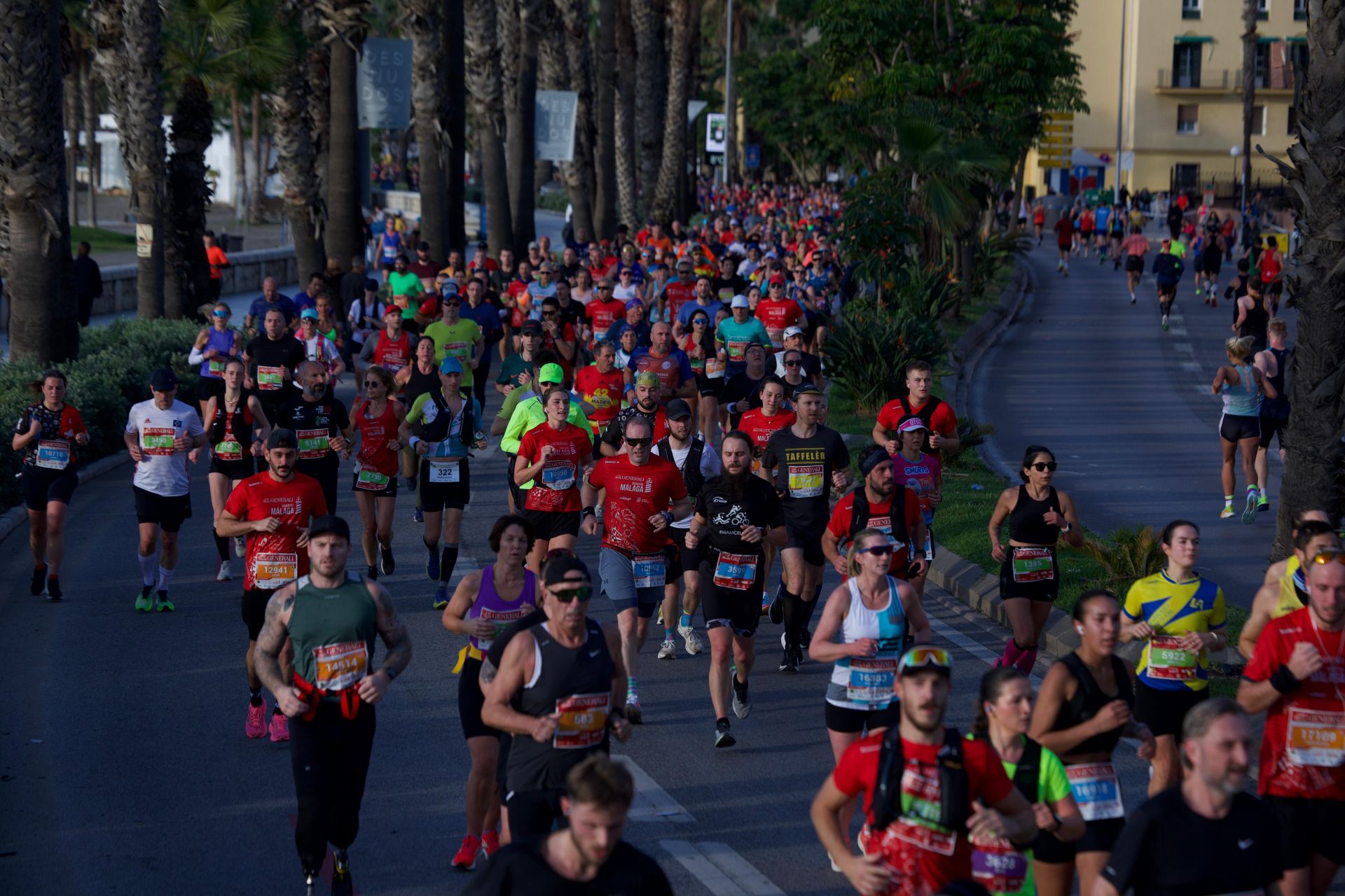 Las mejores imágenes del Generali Maratón de Málaga 2024