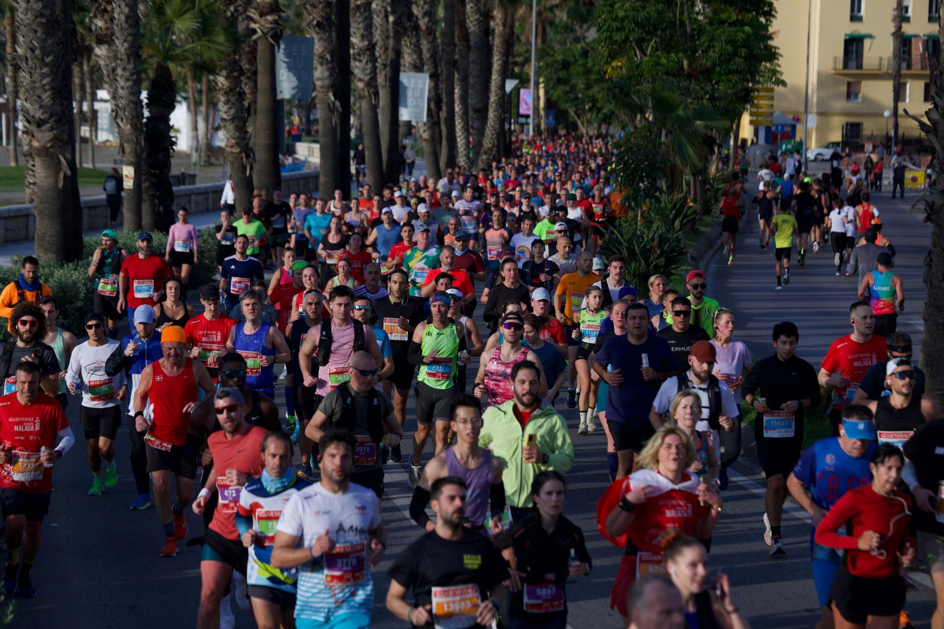 Las mejores imágenes del Generali Maratón de Málaga 2024