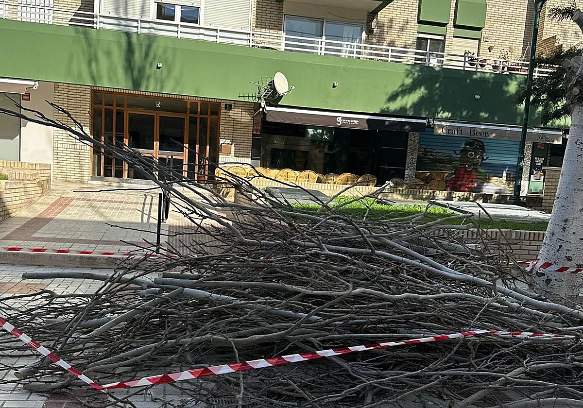 Echevarría de El Palo, ayer por la mañana