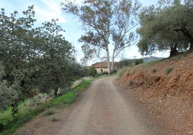 Último tramo del recorrido, coincidente con el sendero que une a Moclinejo con Totalán