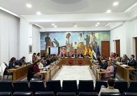 Pleno de la Corporación Municipal de Rincón de la Victoria.