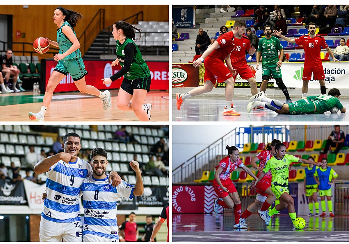 Polideportivo malagueño: En busca de las últimas victorias del año