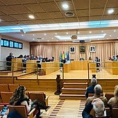 Imagen de la sesión plenaria celebrada este viernes en Vélez-Málaga.