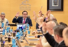 El presidente, Manuel Cardeña, en la Asamblea de la Mancomunidad Occidental.