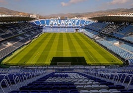 Vista panorámica de La Rosaleda.