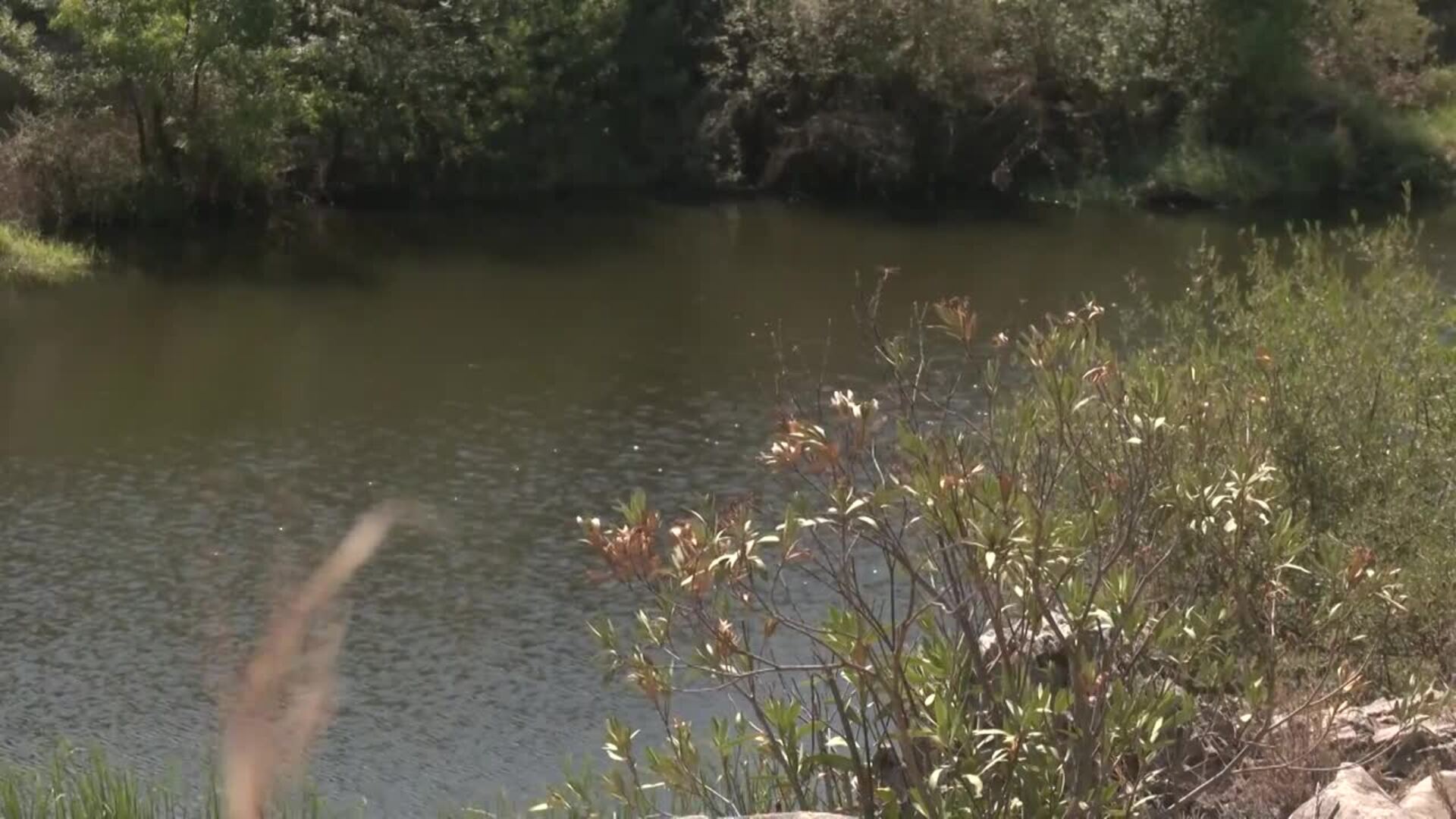 Los embalses andaluces siguen perdiendo agua pero están mejor que el año pasado