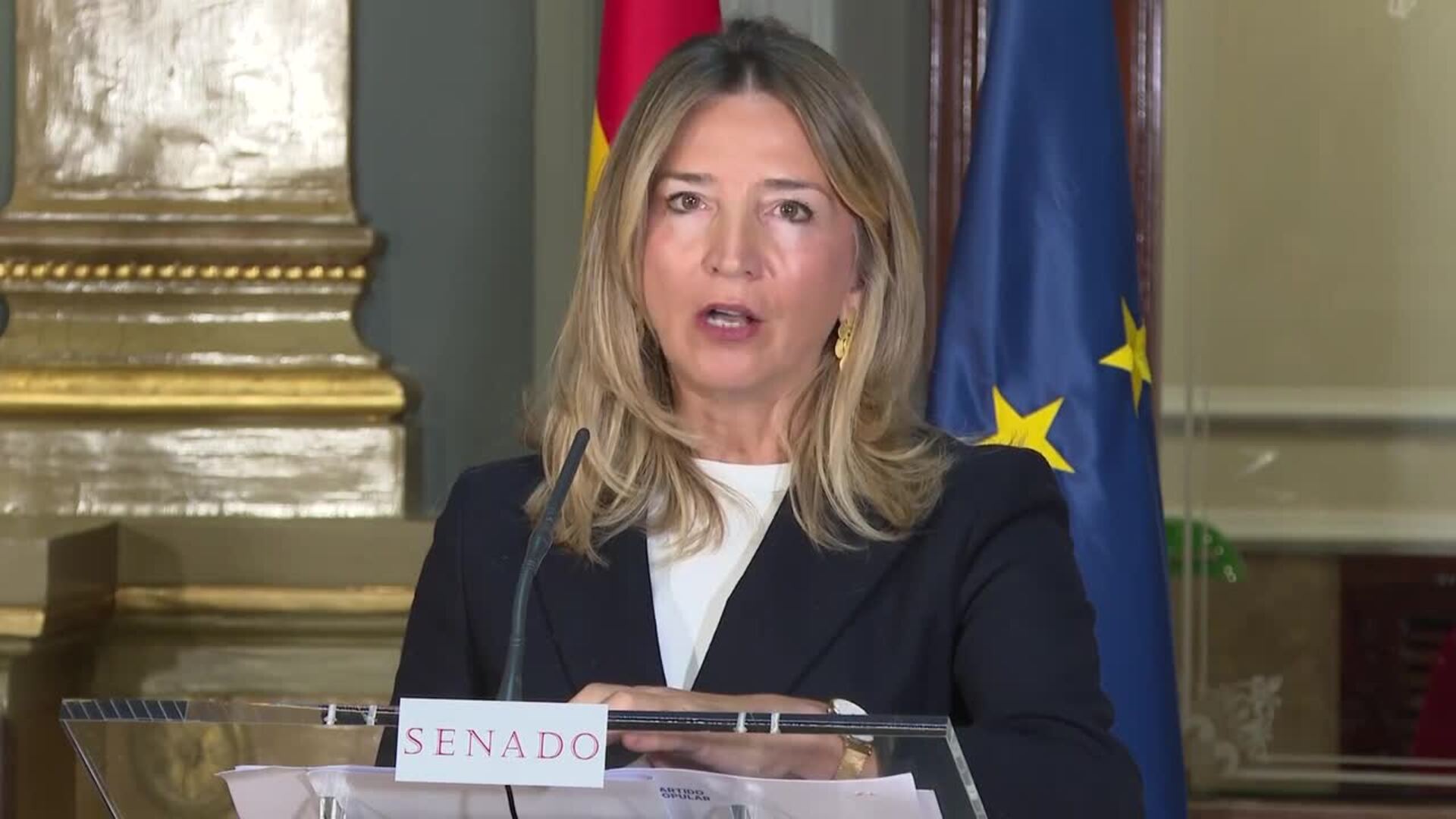 PP amenaza con llevar a TC el choque entre Senado y Congreso por la ley