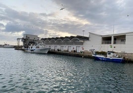 Imagen del puerto pesquero de Caleta de Vélez.