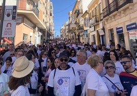 Un momento de la pasada Caminata, en la calle La Bola.