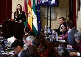 Elisa Pérez de Siles: «Es un orgullo y un honor dejarnos la piel trabajando por esta ciudad»