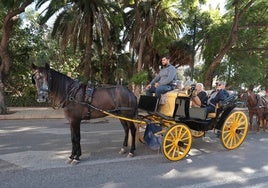 Málaga cuenta actualmente con 25 licencias de coches de caballos.