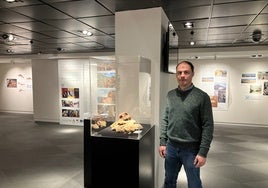 Serafín Becerra, comisario de la exposición 'Poblaciones neandertales en Cueva de Ardales y Sima de las Palomas de Teba'.