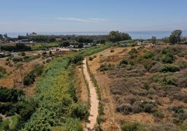 Imagen del corredor en la zona del Arroyo Las Cañas.