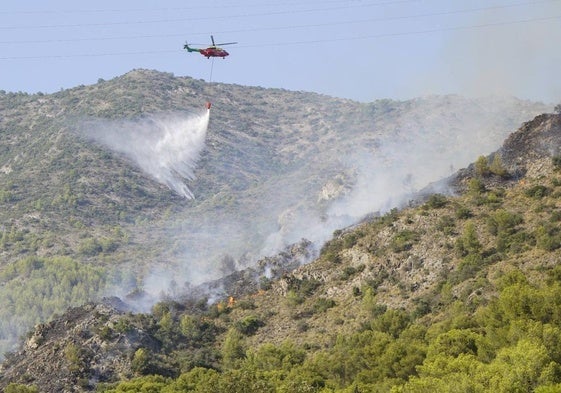 Detienen al presunto autor de dos incendios que afectaron a la Sierra de las Nieves