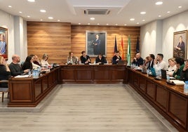 Imagen de la sesión plenaria que se ha celebrado este lunes en el Ayuntamiento de Torrox.