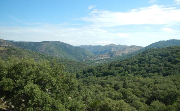 La Sierrecilla, en Humilladero.