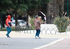 Fuertes rachas de viento, ayer en Málaga.