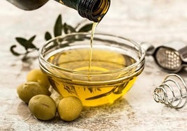 Cada variedad de aceituna tiene características organolépticas distintas.