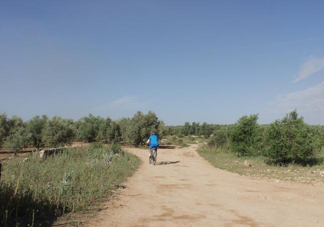 El recorrido se puede hacer perfectamente en bicicleta